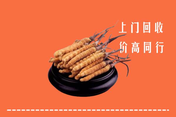 高价求购：汕头市回收散虫草