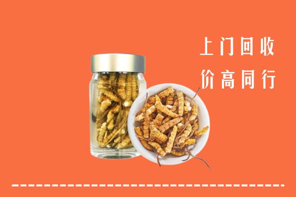 汕头市回收冬虫夏草